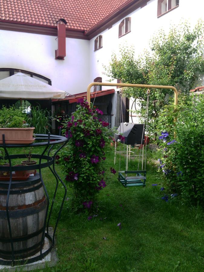 Penzion Paták Kamyk nad Vltavou Exterior foto